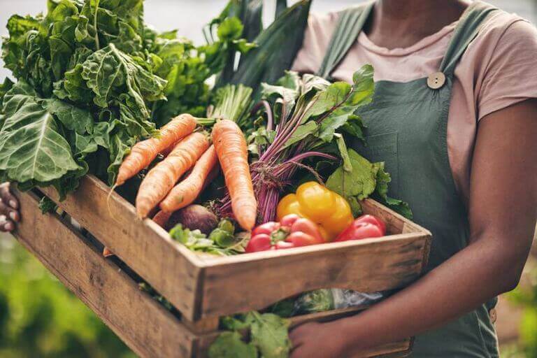 A farmer holds a wooden crate full of fresh-grown carrots, peppers, beets, chard, and kale.