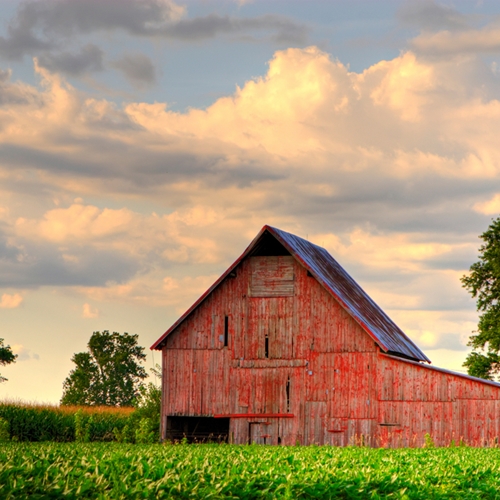 the-most-sustainable-food-practices-and-how-to-find-them-escoffier