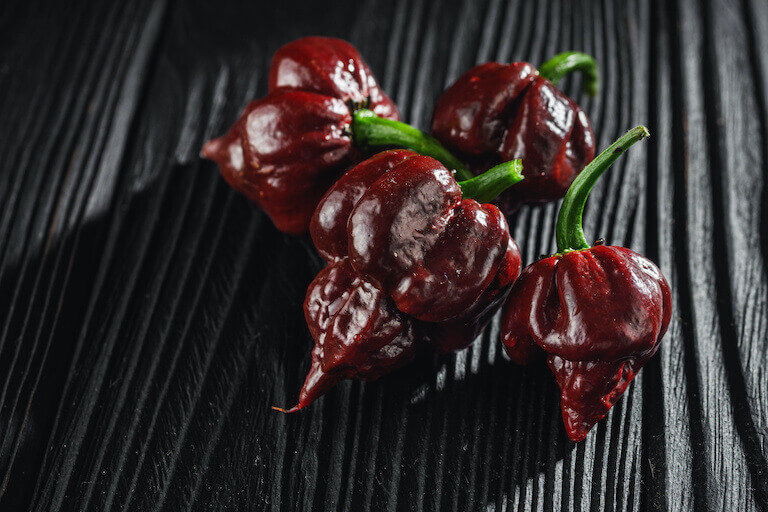 Fresh brown extra hot carolina reaper chocolate pepper on black wooden rustic background.