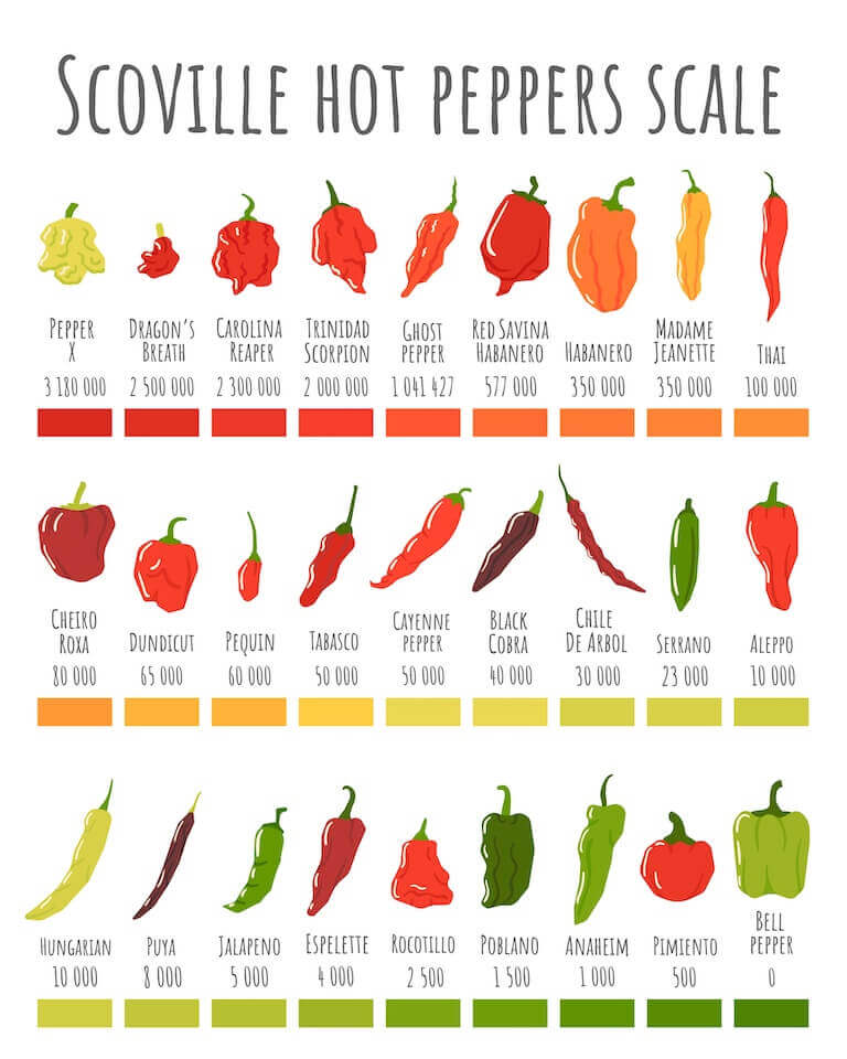 Scoville Scale pepper illustration showing peppers from sweetest to the most heat. 