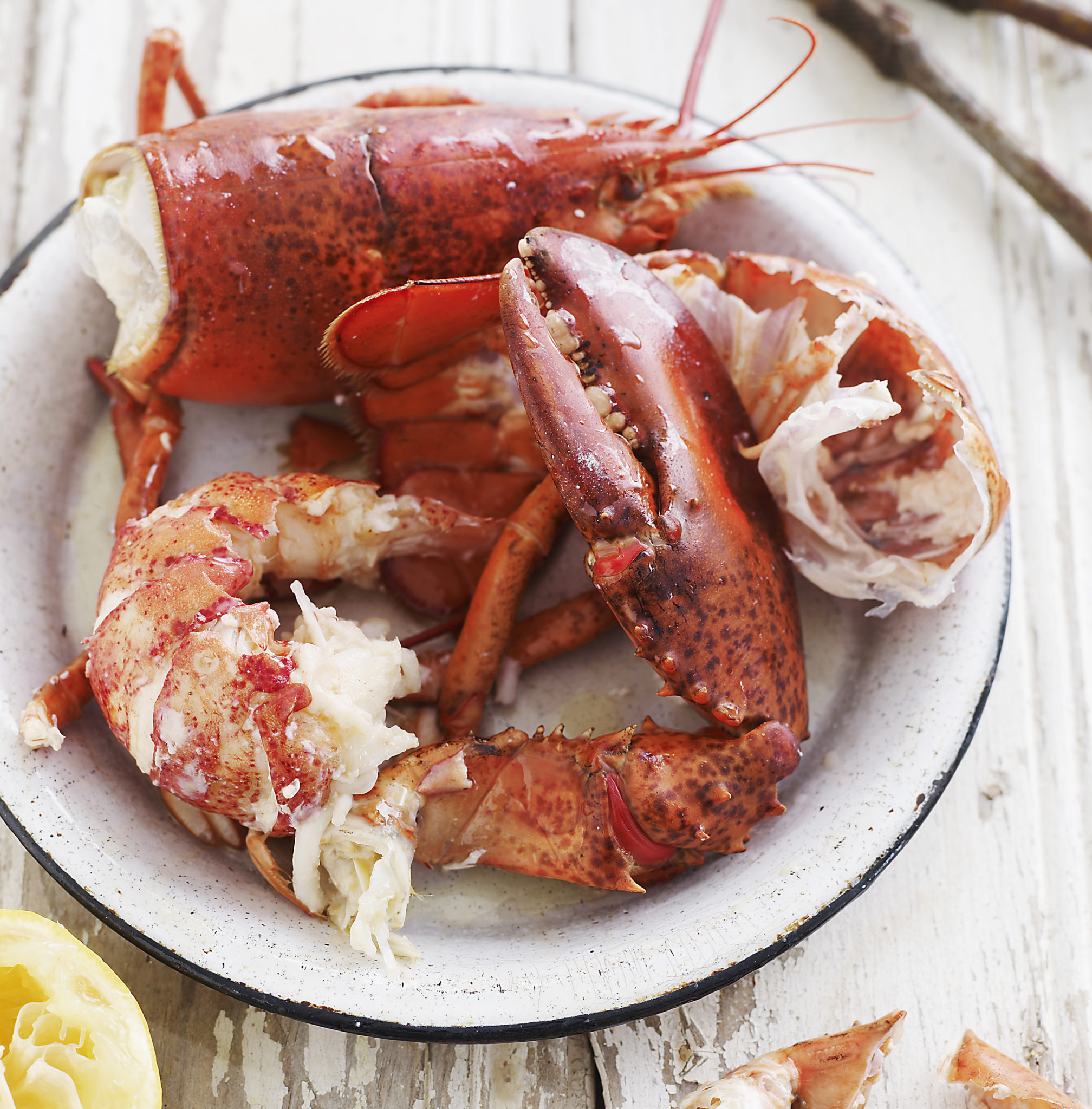 Mastering the four Cs of lobster - catching, choosing, cooking