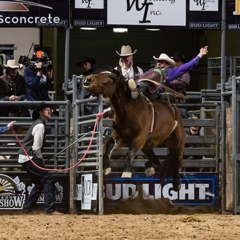 Mason Snyder coming out of the gate riding a bucking bronco during a rodeo.